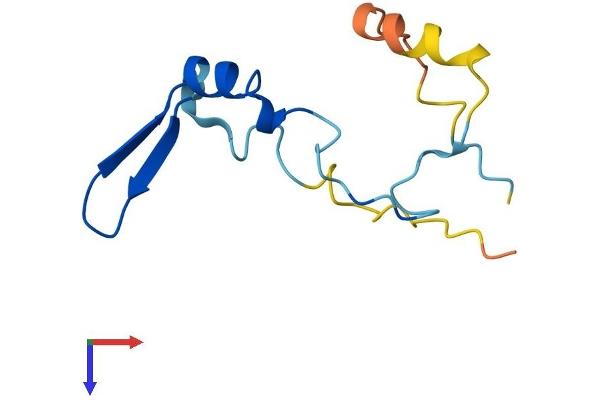 EIF4EBP3 Protein (AA 1-101) (His tag)