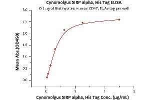 ELISA image for Signal-Regulatory Protein alpha (SIRPA) (AA 31-370) (Active) protein (His tag) (ABIN6253574)