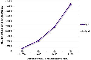 FLISA plate was coated with purified rabbit IgG and IgM. (Goat anti-Rabbit IgG (Heavy Chain) Antibody)