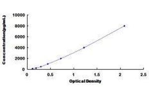 ELISA image for Interleukin 6 Signal Transducer (Gp130, Oncostatin M Receptor) (IL6ST) ELISA Kit (ABIN415373)