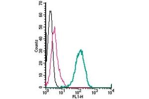 Cell surface detection of ADAM10 by indirect flow cytometry in live intact human THP-1 monocytic leukemia cells: (black line) Cells. (ADAM10 antibody  (Extracellular, N-Term))