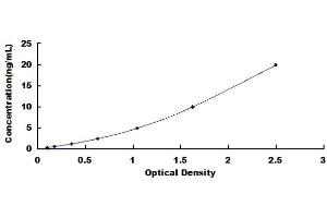 Typical standard curve (BCL9L ELISA Kit)