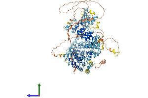 AlphaFold protein structure predicition of Mouse Recombinant Ankrd27 Protein, UniprotID Q3UMR0