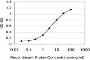 Detection limit for recombinant GST tagged EIF4G1 is approximately 0. (EIF4G1 antibody  (AA 1500-1599))