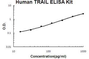 Human TRAIL Accusignal ELISA Kit Human TRAIL AccuSignal ELISA Kit standard curve. (TRAIL ELISA Kit)