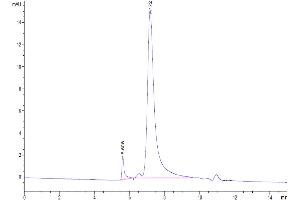 Size-exclusion chromatography-High Pressure Liquid Chromatography (SEC-HPLC) image for Interleukin 1 Receptor, Type II (IL1R2) (AA 14-343) protein (His tag) (ABIN7274888)