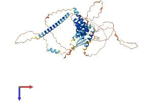 AlphaFold protein structure predicition of Human Recombinant TTC31 Protein, UniprotID Q49AM3 (TTC31 Protein (AA 1-519) (His tag))