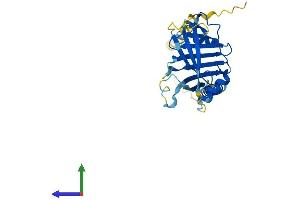 AlphaFold protein structure predicition of Mouse Recombinant Itm2a Protein, UniprotID Q61500 (ITM2A Protein (AA 1-263) (His tag))