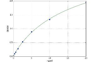 A typical standard curve