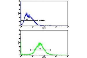 Flow cytometric analysis of HepG2 cells using CCNA2 polyclonal antibody (bottom histogram) compared to a negative control cell (top histogram). (Cyclin A antibody  (N-Term))