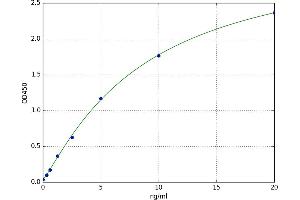 Heat Shock 70kDa Protein 4 (HSPA4) ELISA Kit