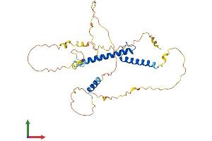 Protein Structure (PS) image for Myogenic Differentiation 1 (MYOD1) (AA 1-318) protein (His tag) (ABIN7562821)
