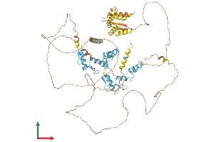 AlphaFold protein structure predicition of Human Recombinant ZBTB49 Protein, UniprotID Q6ZSB9