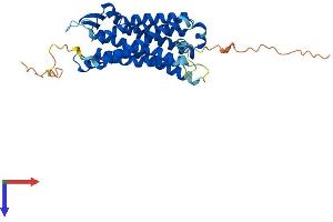 C5AR1 Protein (AA 1-351) (His tag)