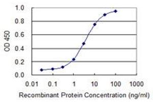 Detection limit for recombinant GST tagged AHCYL1 is 0. (AHCYL1 antibody  (AA 1-101))
