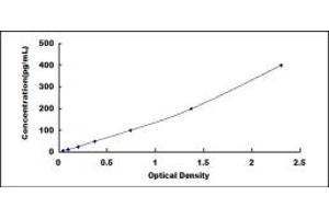 Typical standard curve (IL-31 ELISA Kit)