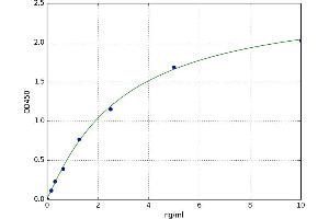 Pyruvate Dehydrogenase alpha (PDHa) ELISA Kit