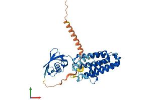 AlphaFold protein structure predicition of Human Recombinant TECRL Protein, UniprotID Q5HYJ1