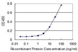 Detection limit for recombinant GST tagged IDI2 is 1 ng/ml as a capture antibody. (IPP Isomerase 2 antibody  (AA 1-227))