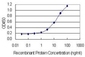 Detection limit for recombinant GST tagged OR1I1 is 0. (OR1I1 antibody  (AA 293-355))