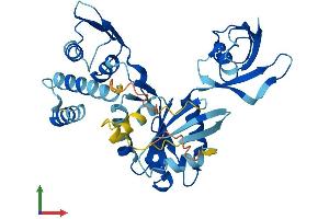 AlphaFold protein structure predicition of Mouse Recombinant Drg2 Protein, UniprotID Q9QXB9 (DRG2 Protein (AA 1-364) (His tag))
