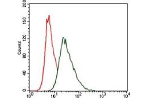 Flow Cytometry (FACS) image for anti-Heat Shock Transcription Factor 4 (HSF4) antibody (ABIN1107497) (HSF4 antibody)