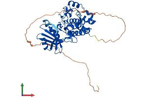 Protein Structure (PS) image for Testis-Specific serine Kinase 1B (TSSK1B) (AA 1-365) protein (His tag) (ABIN7557684)