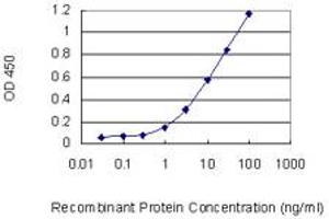 Detection limit for recombinant GST tagged MTHFD1L is 0. (MTHFD1L antibody  (AA 801-899))