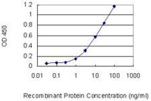 Detection limit for recombinant GST tagged MTHFD1L is 0. (MTHFD1L antibody  (AA 801-899))
