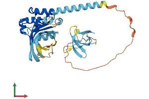 AlphaFold protein structure predicition of Mouse Recombinant Sh3yl1 Protein, UniprotID O08641 (SH3YL1 Protein (AA 1-340) (His tag))