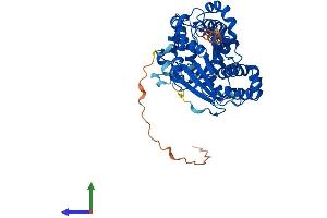 AlphaFold protein structure predicition of Human Recombinant MSS51 Protein, UniprotID Q4VC12