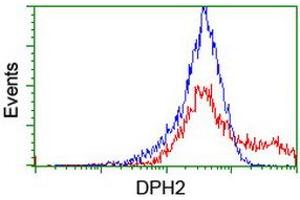 HEK293T cells transfected with either RC201382 overexpress plasmid (Red) or empty vector control plasmid (Blue) were immunostained by anti-DPH2 antibody (ABIN2455862), and then analyzed by flow cytometry. (DPH2 antibody)