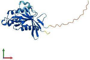 AlphaFold protein structure predicition of Human Recombinant RAB39B Protein, UniprotID Q96DA2