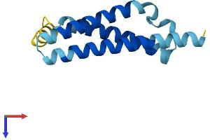AlphaFold protein structure predicition of Human Recombinant TMEM262 Protein, UniprotID E9PQX1 (rCG48429-Like Protein (LOC100365733) (AA 1-116) (His tag))