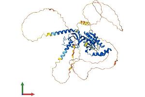 AlphaFold protein structure predicition of Mouse Recombinant Cacnb1 Protein, UniprotID Q8R3Z5 (CACNB1 Protein (AA 1-597) (His tag))
