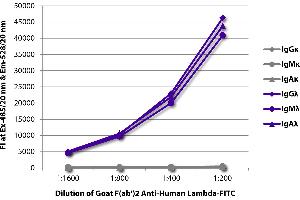 FLISA plate was coated with purified human IgGκ, IgMκ, IgAκ, IgGλ, IgMλ, and IgAλ. (Goat anti-Human lambda (Chain lambda) Antibody (FITC))