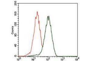 Flow cytometric analysis of HEK293 cells using PHC1 mouse mAb (green) and negative control (red). (PHC1 antibody  (AA 758-1004))