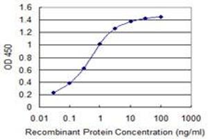 Detection limit for recombinant GST tagged IDH2 is 0. (IDH2 antibody  (AA 354-451))
