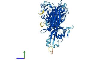 AlphaFold protein structure predicition of Mouse Recombinant Capn6 Protein, UniprotID O35646 (Calpain 6 Protein (CAPN6) (AA 1-641) (His tag))