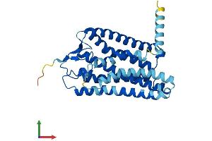 AlphaFold protein structure predicition of Human Recombinant OR4E2 Protein, UniprotID Q8NGC2 (OR4E2 Protein (AA 1-313) (His tag))