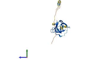 Protein Structure (PS) image for Tumor Necrosis Factor (Ligand) Superfamily, Member 15 (TNFSF15) (AA 1-252) protein (His tag) (ABIN7557569)