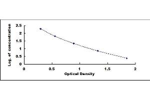 Mitochondrial Open Reading Frame Of The 12S rRNA-c (MOTS-C) ELISA Kit
