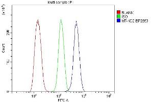 Flow Cytometry analysis of NRK cells using anti-Mtnd2 antibody (ABIN7603114). (MT-ND2 antibody  (N-Term))