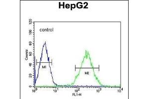 BDHA1 Antibody (Center) (ABIN651743 and ABIN2840384) flow cytometric analysis of HepG2 cells (right histogram) compared to a negative control cell (left histogram). (PDHA1 antibody  (AA 228-255))