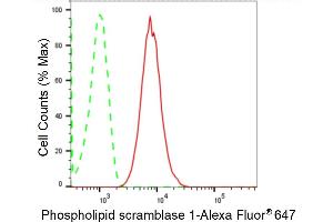 Flow cytometric analysis of Phospholipid scramblase 1 expression in HT- cells using Phospholipid scramblase 1 antibody (ABIN7799825), 1:2,000). (Recombinant PLSCR1 antibody)