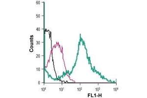 Cell surface detection of BAI1 in live intact mouse J774 macrophage cells: (black line) Cells. (BAI1 antibody  (Extracellular, N-Term) (FITC))