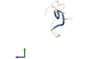 AlphaFold protein structure predicition of Human Recombinant KRT82 Protein, UniprotID Q9NSB4 (Keratin 82 Protein (KRT82) (AA 1-513) (His tag))