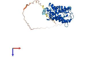 AlphaFold protein structure predicition of Human Recombinant AQP7P3 Protein, UniprotID A6NL99 (AQP7P3 Protein (AA 1-342) (His tag))