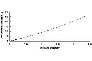 Typical standard curve (ACE2 ELISA Kit)