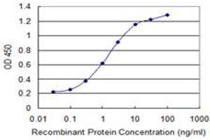 Detection limit for recombinant GST tagged ZSCAN29 is 0. (ZSCAN29 antibody  (AA 101-199))